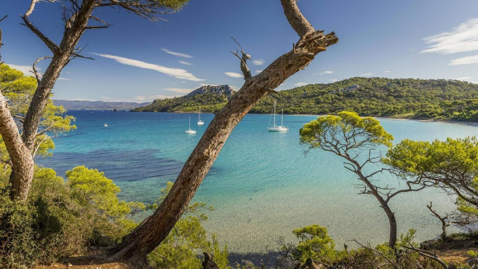 Calme Et Confort En Rez-De-Jardin La Londe-les-Maures Bagian luar foto